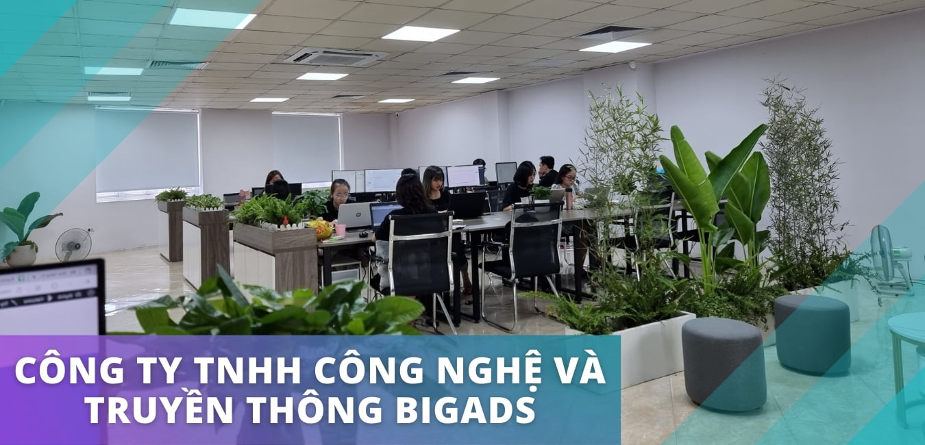 Giới thiệu công ty BigAds