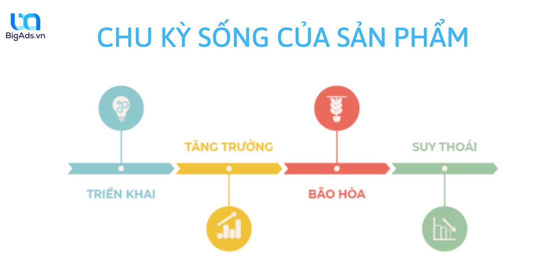 chu kỳ sống của sản phẩm - bigads
